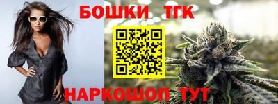 индика Саянск